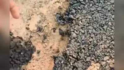 शेखपुरा पंहेशा में सड़क निर्माण की गुणवत्ता पर उठे सवाल, ग्रामीणों ने जांच की मांग की
